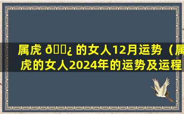 属虎 🌿 的女人12月运势（属虎的女人2024年的运势及运程）